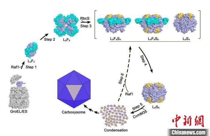 /uploads/image/2020/05/29/09215575b1a12e75b5781ff42c02b9a9.jpg /uploads/image/2020/05/29/09215575b1a12e75b5781ff42c02b9a9.jpg